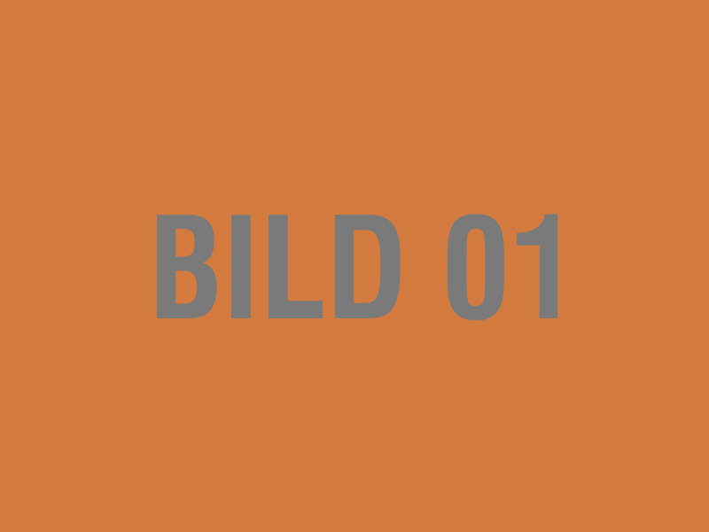 Showing Slide: Bild01.jpg
