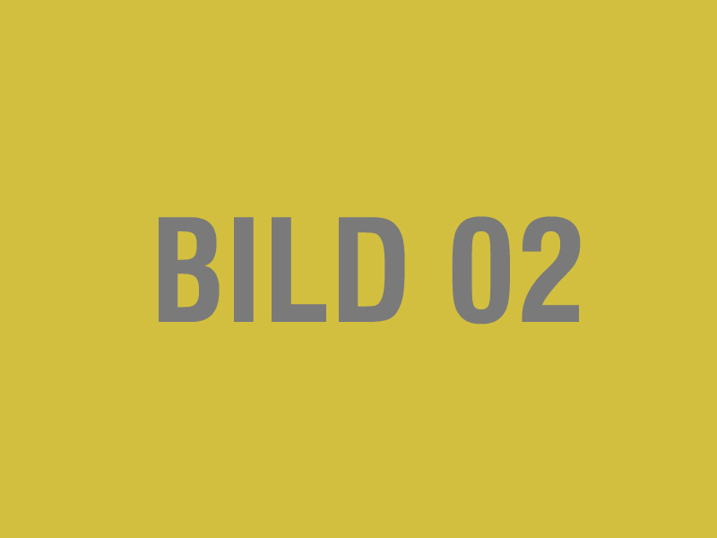 Showing Slide: Bild02.jpg