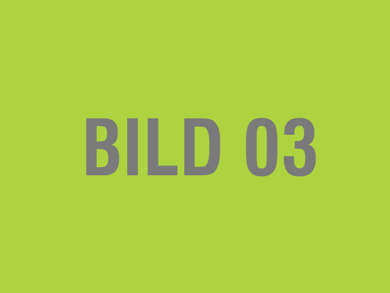 Showing Slide: Bild03.jpg